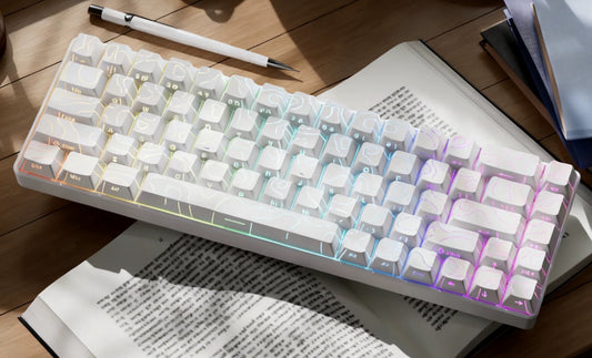 EWEADN MT68, Black/ White, wireless, 68 Keys